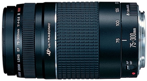 Canon EF 75-300mm f/4-5.6 USM Black Lens